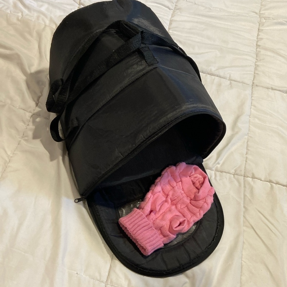Small pet carrier with small sweater